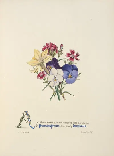 Pansies, pinks and daffodils by Jane Elizabeth Giraud, 1846 — digital art print download