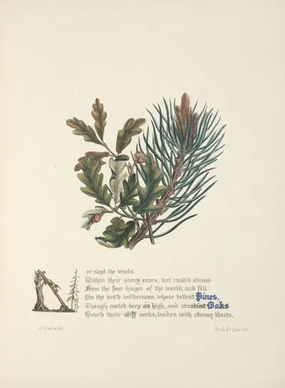 Pines and oaks by Jane Elizabeth Giraud, 1846 — digital art print download