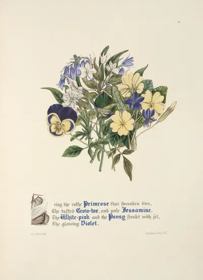 Primrose, Grow-toe,Jessamine. White-pink, Pansy and Violet by Jane Elizabeth Giraud, 1846 — digital art print download