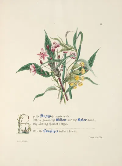 Up the Rushy-fringed bank by Jane Elizabeth Giraud, 1846 — digital art print download