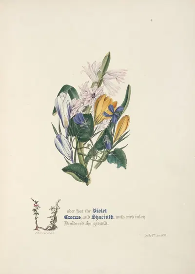 Violet, crocus and hyacinth by Jane Elizabeth Giraud, 1846 — digital art print download