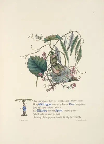 Wild Thyme, Vine, Willows and hazel by Jane Elizabeth Giraud, 1846 — digital art print download