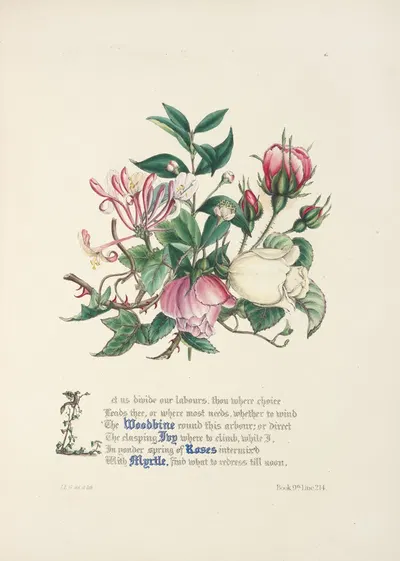 Woodbine, ivy, roses and myrtle by Jane Elizabeth Giraud, 1846 — digital art print download
