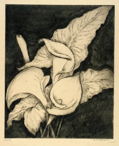 Callas by Bertha Jaques — digital art print download