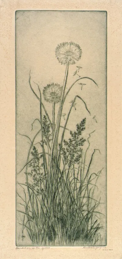 Dandelion in the Grass by Bertha Jaques — digital art print download