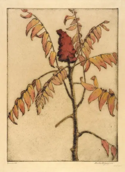 Sumac by Bertha Jaques — digital art print download