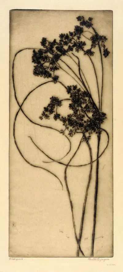 Woolgrass by Bertha Jaques — digital art print download