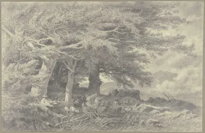 Forest edge with herd of goats by Генрих Функ, 1876 — digital art print download