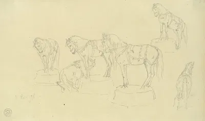 Circuspferde, auf Tonnen balancierend by Генрих Ланг, 1878 — digital art print download