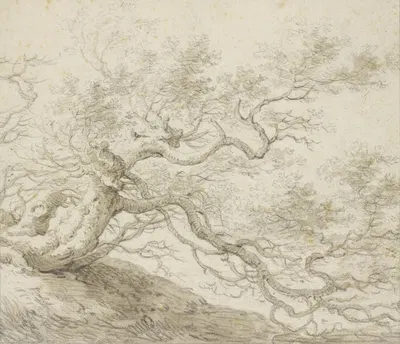 Stunted tree by Герман Сафтлевен III — digital art print download