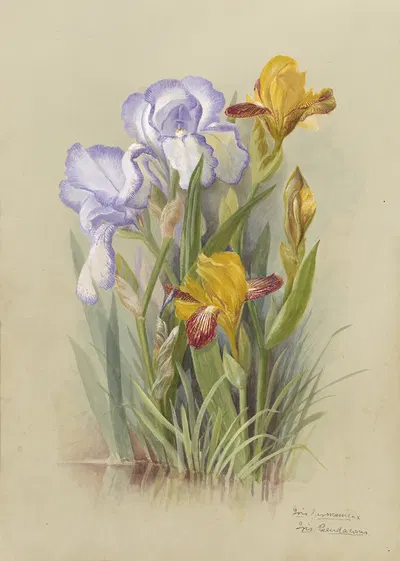 Deborah Griscom Passmore watercolor album Pl.03 by Deborah Griscom Passmore, 1911 — digital art print download