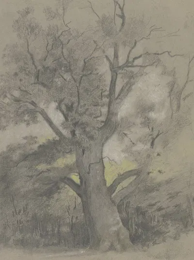 Alte Eiche in einer Waldlichtung by Hermann Gollner — digital art print download