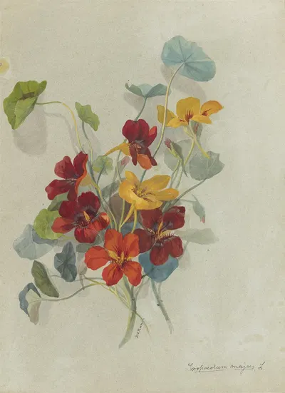 Deborah Griscom Passmore watercolor album Pl.13 by Deborah Griscom Passmore, 1911 — digital art print download