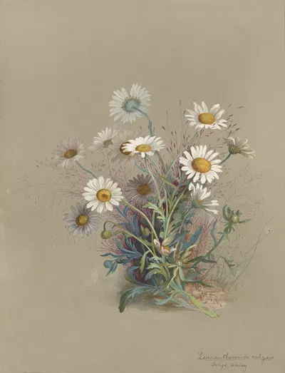 Deborah Griscom Passmore watercolor album Pl.52 by Deborah Griscom Passmore, 1911 — digital art print download