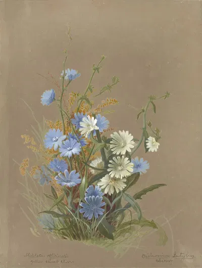 Deborah Griscom Passmore watercolor album Pl.58 by Deborah Griscom Passmore, 1911 — digital art print download