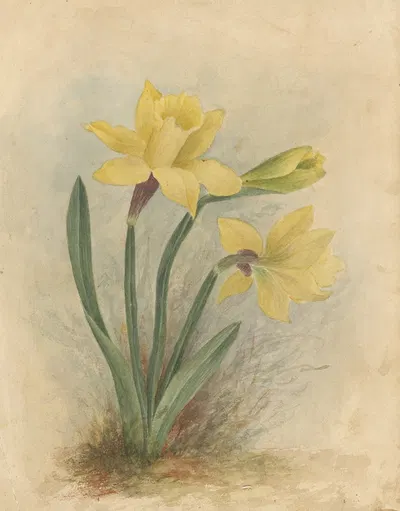 Deborah Griscom Passmore watercolor album Pl.64 by Deborah Griscom Passmore, 1911 — digital art print download