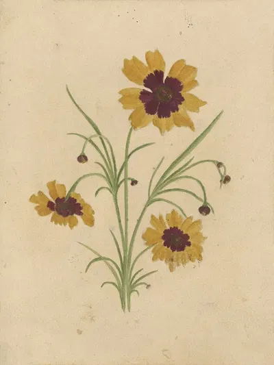 Deborah Griscom Passmore watercolor album Pl.68 by Deborah Griscom Passmore, 1911 — digital art print download