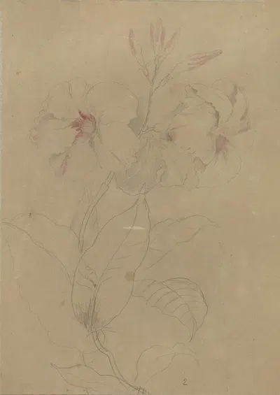 Deborah Griscom Passmore watercolor album Pl.78 by Deborah Griscom Passmore, 1911 — digital art print download
