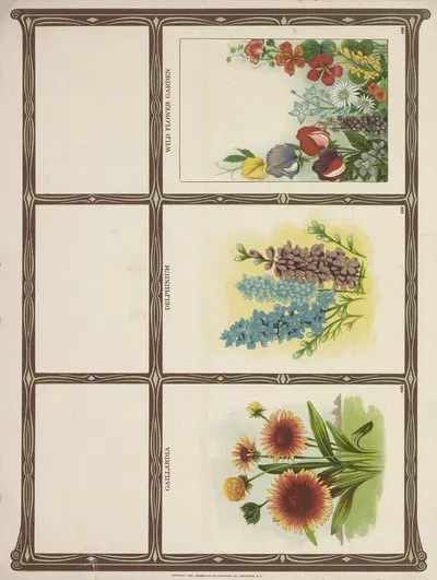 Gaillardia, Delphinium, Wtld flower garden by Genesee Valley Lithograph Co., 1921 — digital art print download