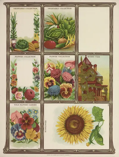 Vegetable and Flower Collection by Genesee Valley Lithograph Co., 1921 — digital art print download