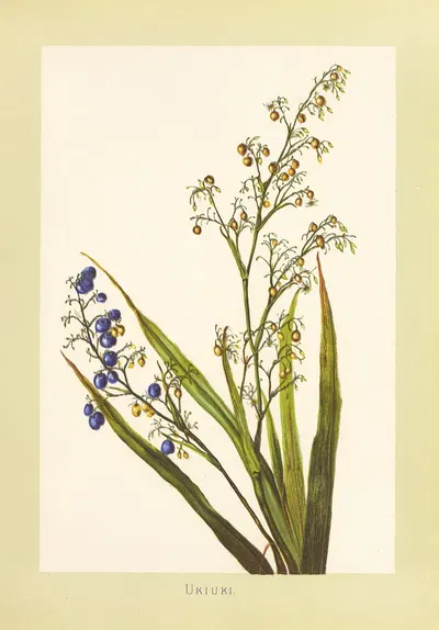 Ukiuki by Isabella McHutcheson Sinclair, 1885 — digital art print download