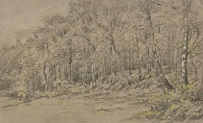 Birch trees at the edge of the forest by Якоб Маурер — digital art print download