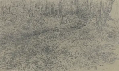 Stream in the forest by Якоб Маурер — digital art print download