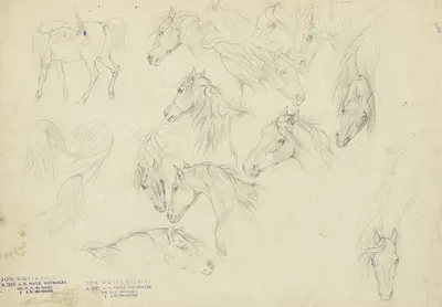 Study sheet; Horses' heads by Иоганн Эрдманн Готлиб Престель — digital art print download