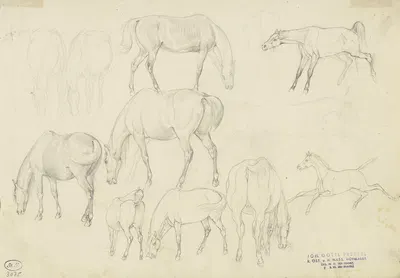 Study sheet; Horses by Иоганн Эрдманн Готлиб Престель — digital art print download