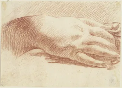 Studie zu einer rechten Hand by Иоганн Эсайас Нильсон — digital art print download