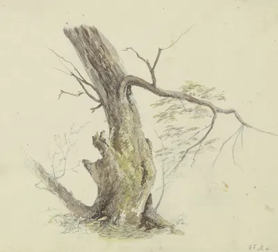 Tree by Иоганн Фридрих Морганштерн — digital art print download