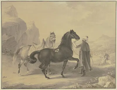 Turkish horses by Johann Georg Pforr, 1796 — digital art print download