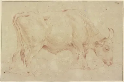 Grasender Stier nach rechts by Иоганн Генрих Роос — digital art print download