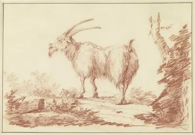 A goat to the left by Johann Ludwig von Pfeiff — digital art print download