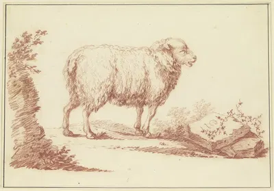 A sheep to the right by Johann Ludwig von Pfeiff — digital art print download