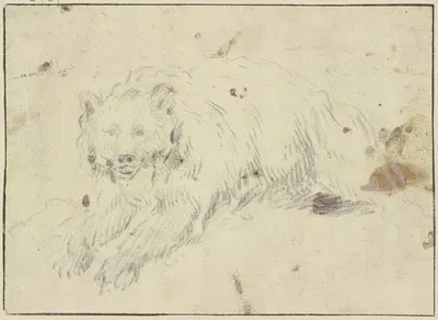 Lying bear to the left by Johann Melchior Roos — digital art print download