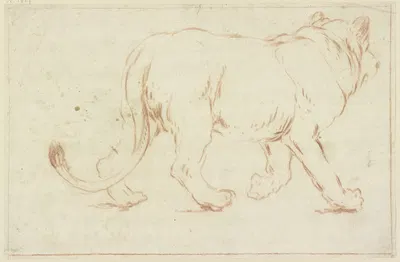 Nach rechts schreitende Löwin by Johann Melchior Roos — digital art print download