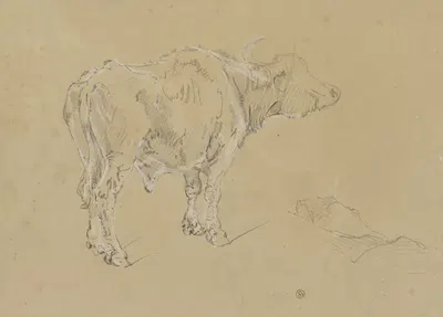 A buffalo by Johann Nepomuk Rauch — digital art print download