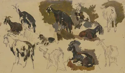 Eleven goats by Иоганн Непомук Раух — digital art print download
