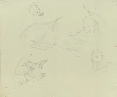 Lions and wolves by Иоганн Непомук Раух — digital art print download
