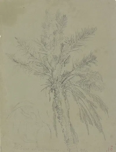 Palm tree in Salerno by Иоганн Непомук Раух, 1841 — digital art print download