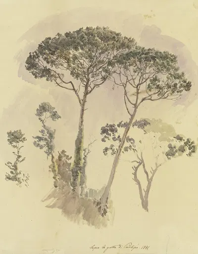 Pinien oberhalb der Grotte von Posilipo by Johann Nepomuk Rauch, 1841 — digital art print download