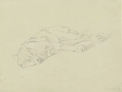Sleeping wolf by Иоганн Непомук Раух, 1830-1839 — digital art print download