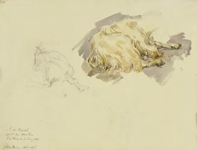 Two goats by Иоганн Непомук Раух — digital art print download