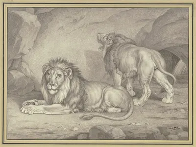 Liegender Löwe von der Seite nach links und stehender Löwe fast von hinten gesehen by Johann Wenzel Peter, 1824 — digital…
