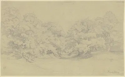Chestnut forest near Kronberg by Иоганн Вильгельм Ширмер — digital art print download