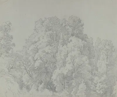 Forest section by Иоганн Вильгельм Ширмер — digital art print download