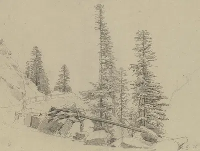 Spruce trees at the Via Mala by Иоганн Вильгельм Ширмер — digital art print download