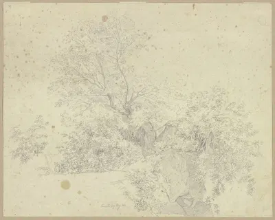 Vegetation picture by Johannes Thomas, 1824 — digital art print download