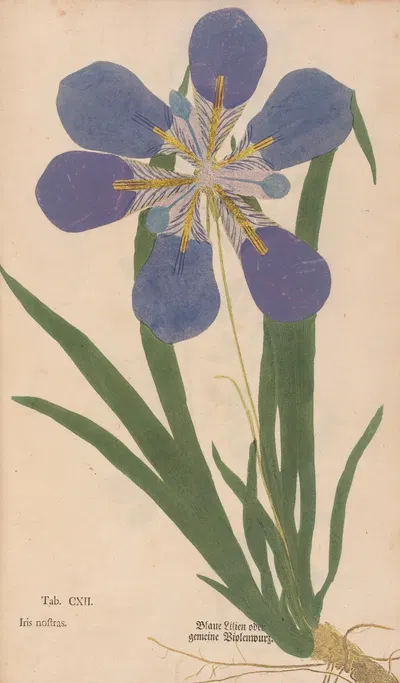 Ectypa vegetabilium Pl.112 by Christian Gottlieb Ludwig, 1760-1764 — digital art print download